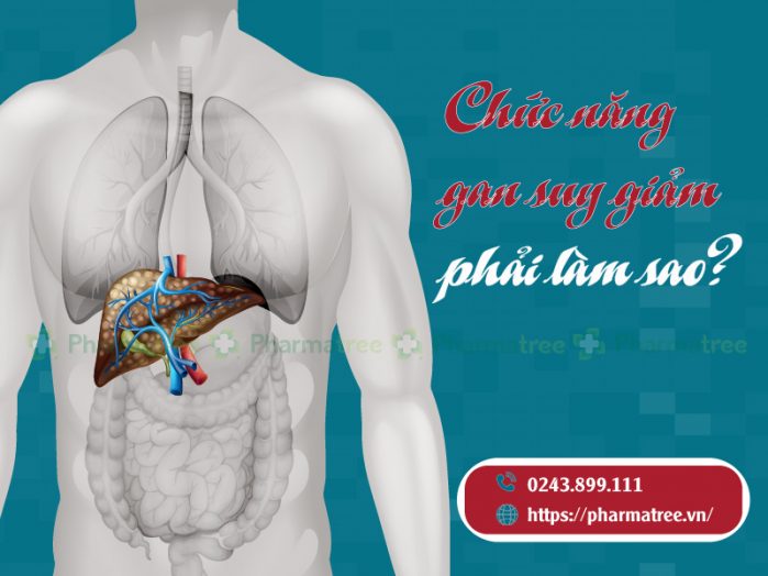 Chức năng gan suy giảm phải làm sao?