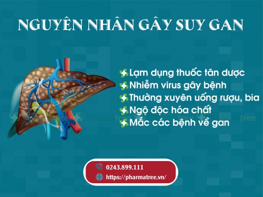 Nguyên nhân gây suy gan