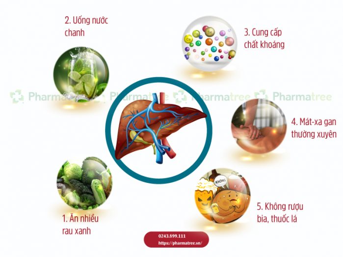 5 cách làm tăng cường chức năng gan từ chuyên gia