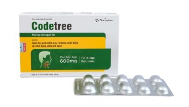 Codetree có tốt không? Cách sử dụng và lưu ý