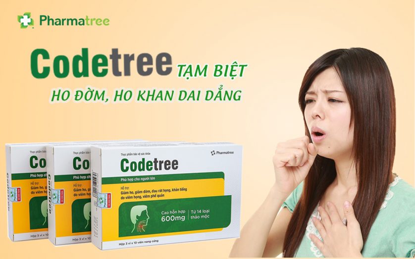 Vì sao Codetree được đánh giá hiệu quả tốt?